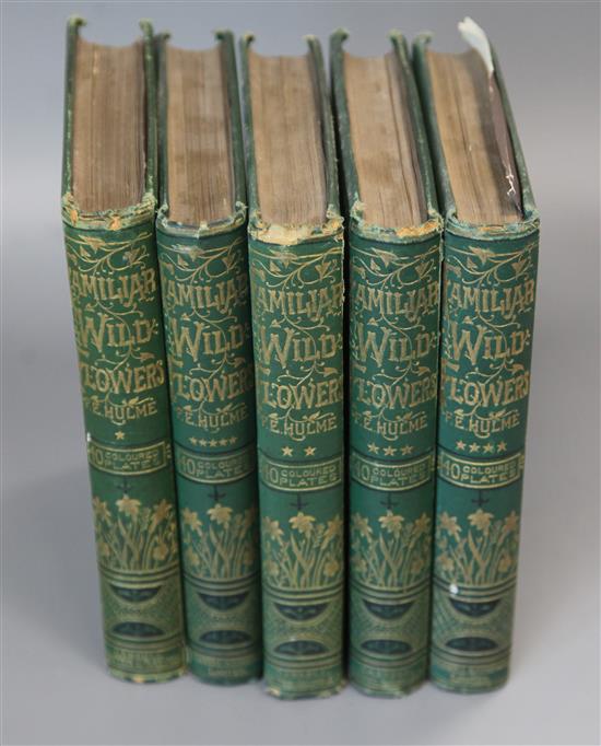 Hulme, Frederick Edward - Familiar Wild Flowers, series 1-5, 5 vols, 8vo, original cloth, with 200 colour plates,